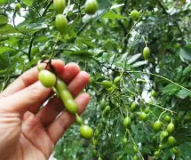 火博网页版 -关于(f?:H逐?偢S5?I?8?猐d?櫆h璄v账-钙WR的信息